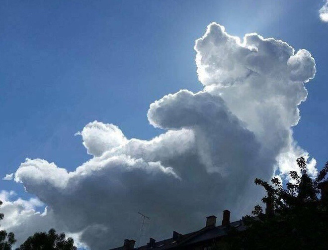 Đám mây hình chú gấu trắng khổng lồ. Ảnh: Twitter