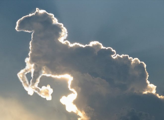 Đám mây hình chú ngựa vô cùng dễ thương. Ảnh: Reddit