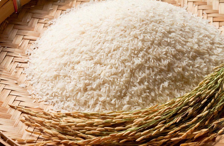 Nhìn màu sắc của hạt gạo