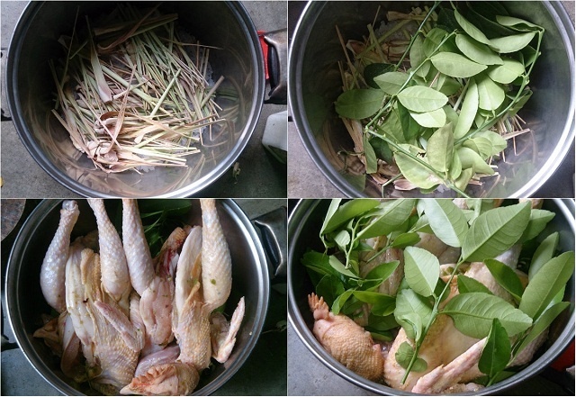 ga-hap-muoi-sa-112341216
