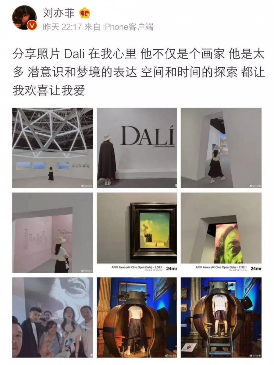 Những hình ảnh do Lưu Diệc Phi đăng tải khi tham gia triển lãm.