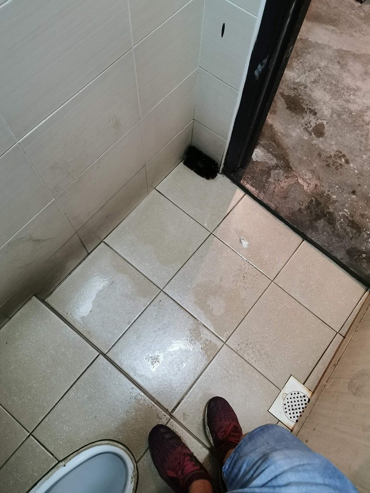 Chiếc bàn chải nằm trong góc nhà vệ sinh.