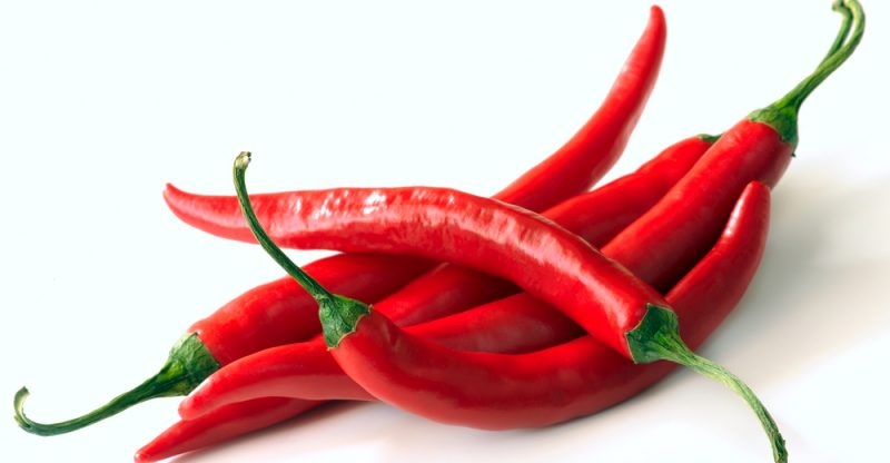Chili-Pepper-800x416