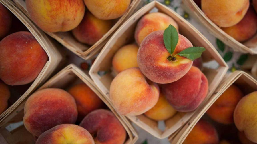 peach-fruit-benefits-1296x728-feature