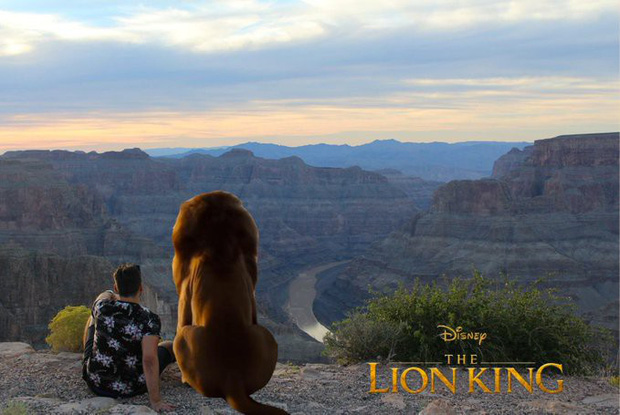 Bối cảnh phù hợp để đóng Lion King.