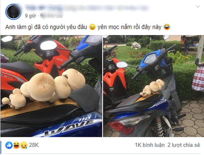 Câu chuyện gây được sự chú ý trên mạng xã hội.