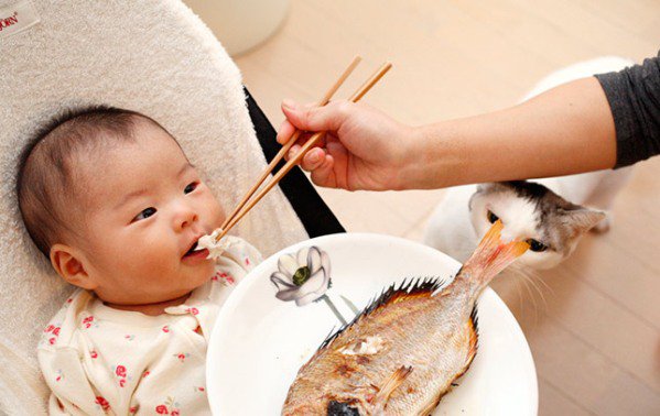 Trẻ ăn cá cha mẹ cần hết sức lưu ý