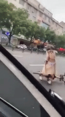 Cô gái bị mắc chiếc váy vào xe đạp.