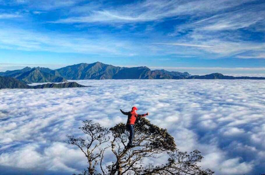 Biển mây Tà Xùa khiến ai cũng muốn xách ba lô lên và đi. Ảnh: phuotluon.com