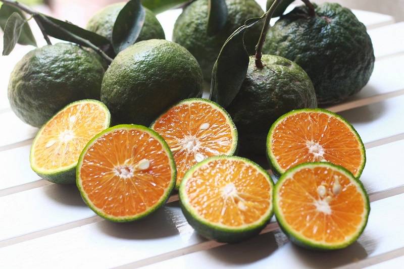 Nhìn màu sắc của cam ngon ngọt