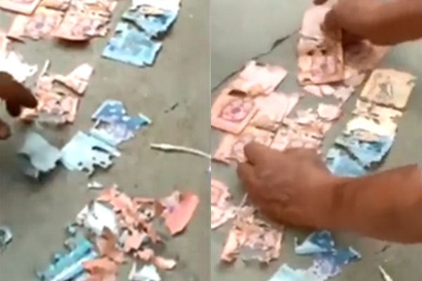 Hình ảnh cắt từ clip.