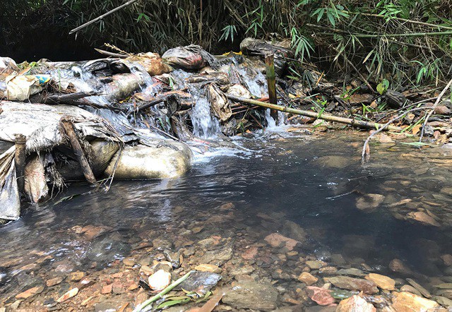 Nguồn nước sông Đà bị ô nhiễm. Ảnh: Dân Trí