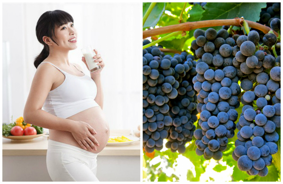 Mẹ bầu ăn nho tốt cho mẹ và con