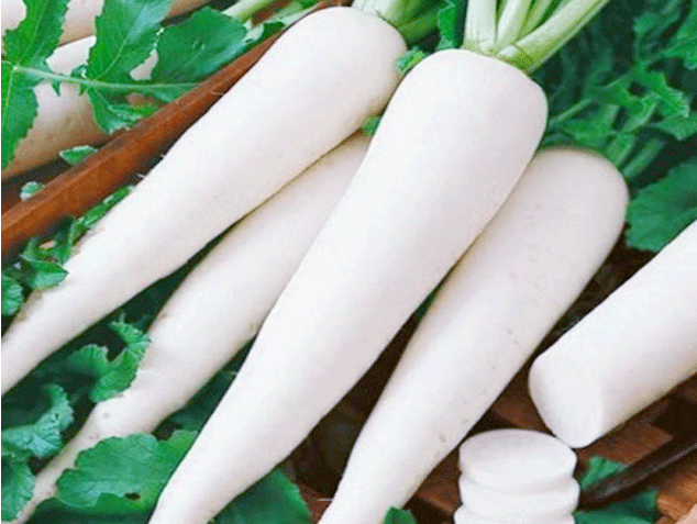 Củ cải trắng giúp giảm ho