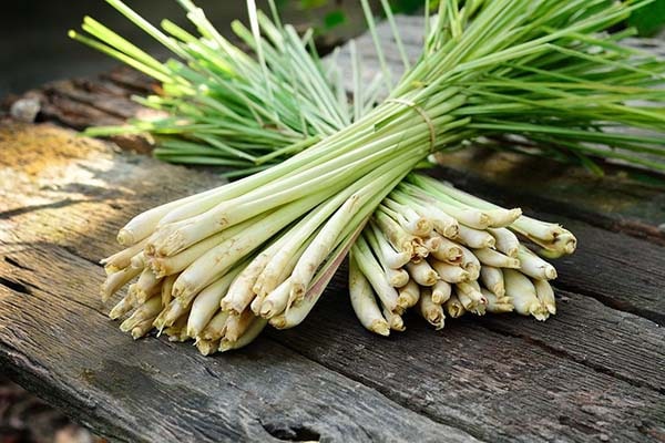 Sả giúp loại bỏ mùi hôi trong nhà vệ sinh