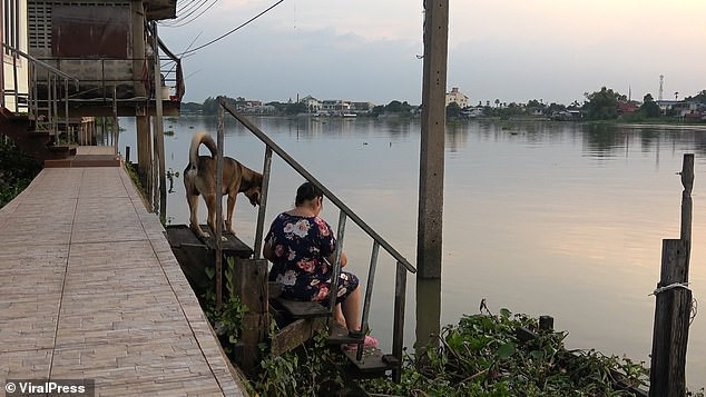 Chú chó hàng ngày ra bờ sông để đợi chủ đến đón sau khi bị thất lạc.