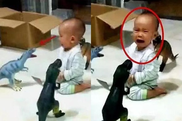 Cậu bé khóc thét vì 4 con khủng long đồ chơi mà bố 
