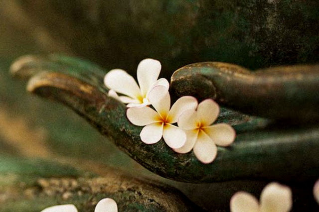khau nghiep