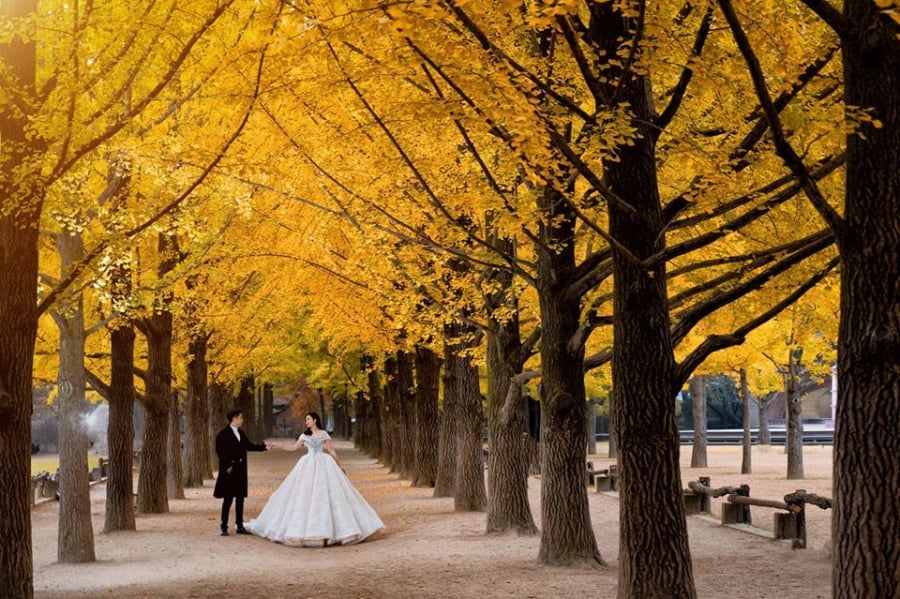 Hai vợ chồng nhẹ nhàng nắm tay nhau đi bộ trong không gian lãng mạn, lá vàng bắt mắt.
