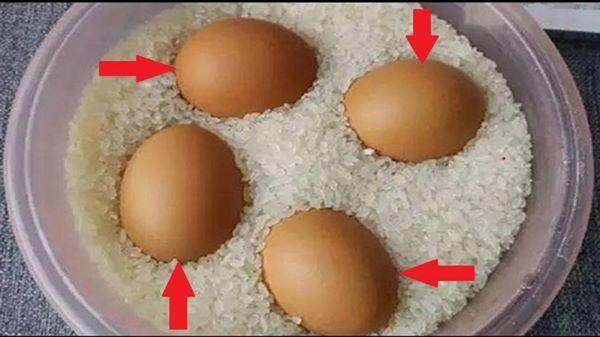 Vùi trứng vào thùng gạo bảo quản trứng hiệu quả