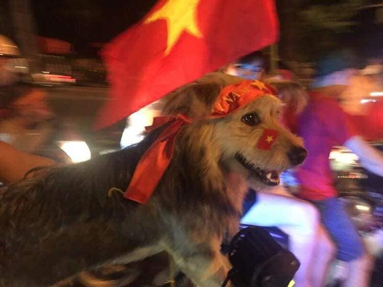 Việt Nam vô địch rồi, anh em xuống phố ăn mừng thôi.