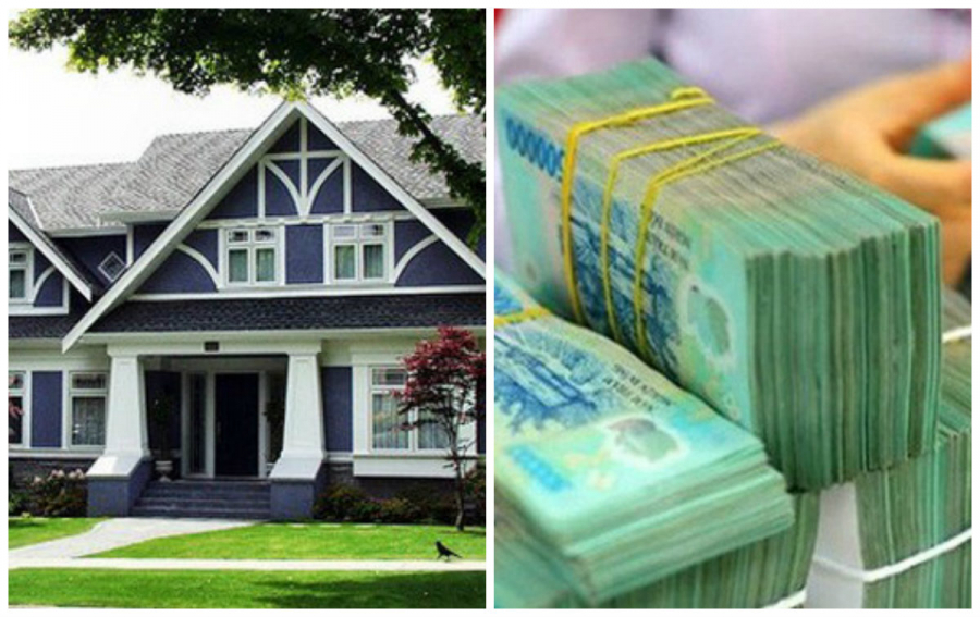 Trong nhà cây cối nảy lộc dấu hiệu phát tài