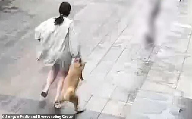 Một người phụ nữ khai động cơ ăn trộm là vì chú chó quá dễ thương và không thể cưỡng lại được.