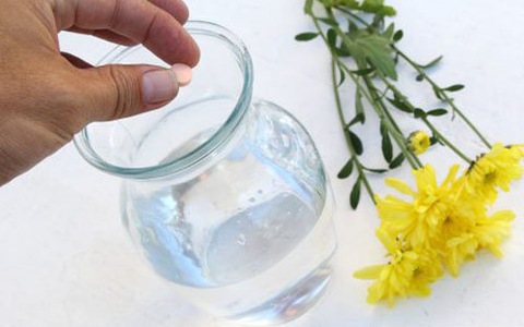 Bỏ thuốc B1 vào nước cắm hoa giúp cho hoa tươi lâu
