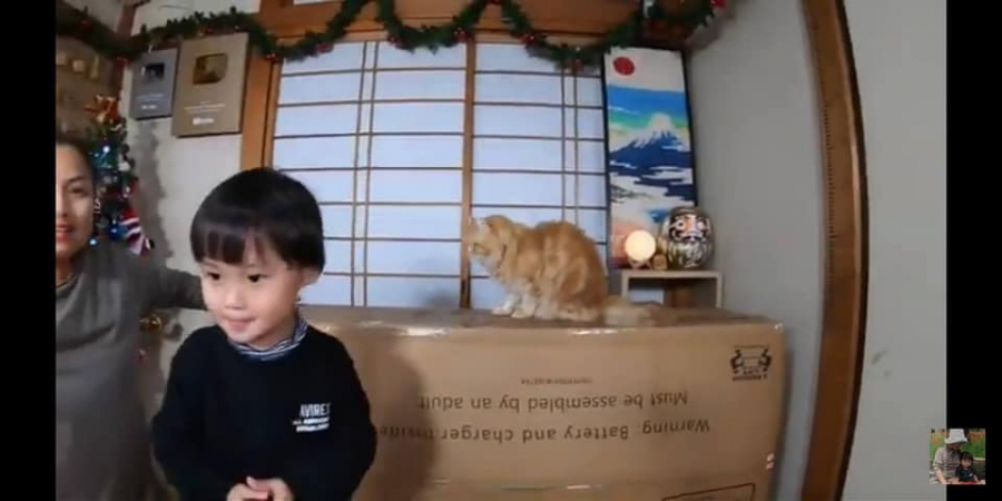 Trong video khui quà sinh nhật 3 tuổi của bé Sa, chú mèo bất ngờ xuất hiện và nhanh chóng được cư dân mạng chú ý.
