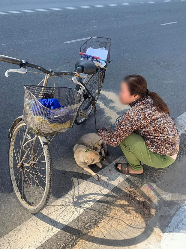 Một người phụ nữ đã đến đưa chú chó nhỏ đi chỗ khác.