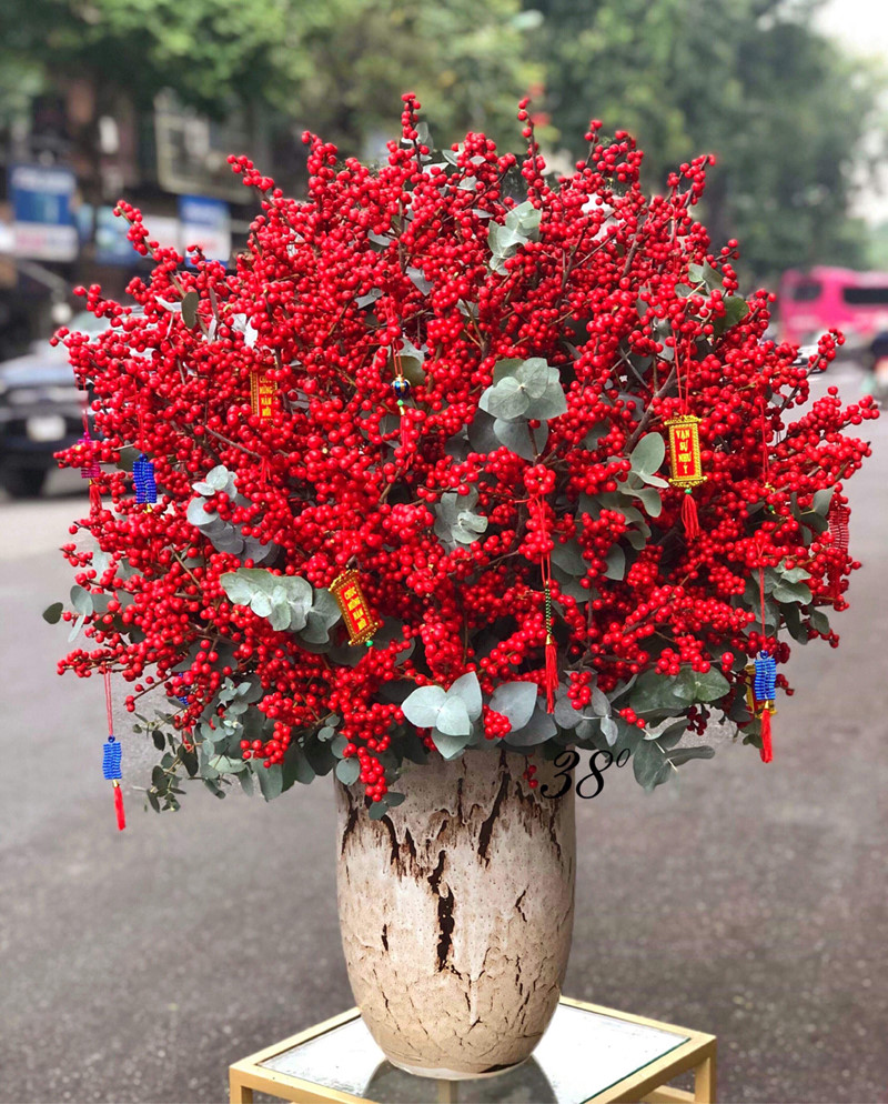 Hoa đào đông đỏ rực cũng được nhiều người yêu thích. Gọi là đào nhưng thực chất là những chùm quả đỏ mọng có thể bày trong nhà từ 12 -15 ngày vẫn giữ được màu đỏ đẹp.