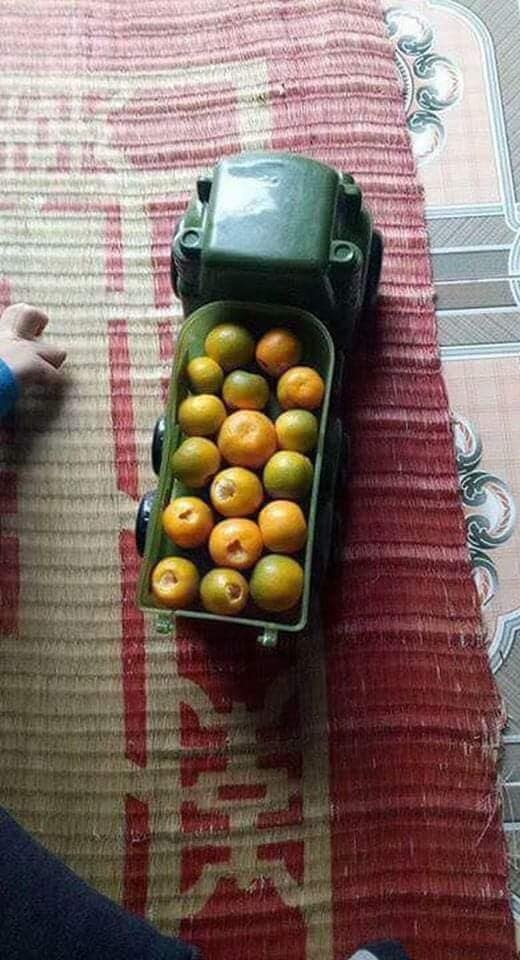 Hóa ra cậu bé vặt quất của bố để chơi trò chơi.