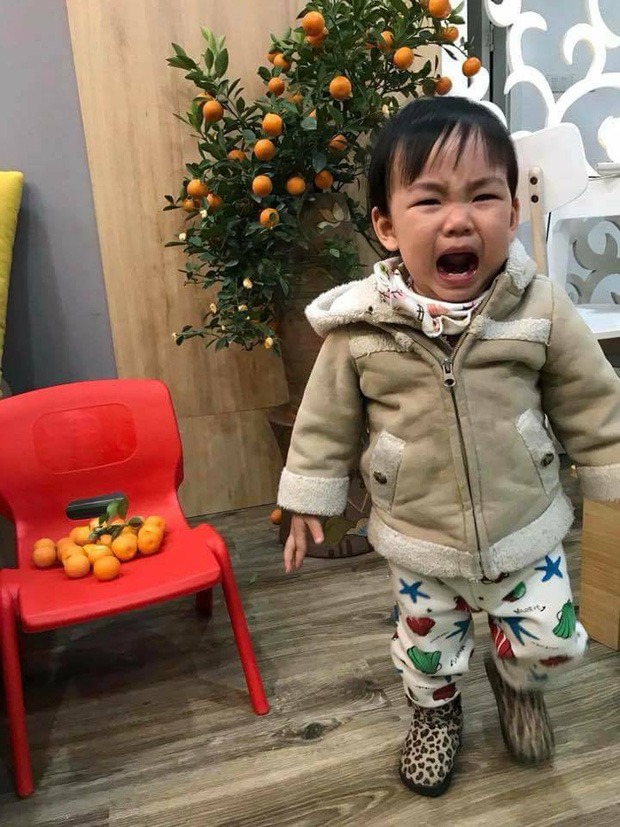 Cô bé này bứt hết quất của bố nhưng khi bị bắt quả tang thì lại ăn vạ.