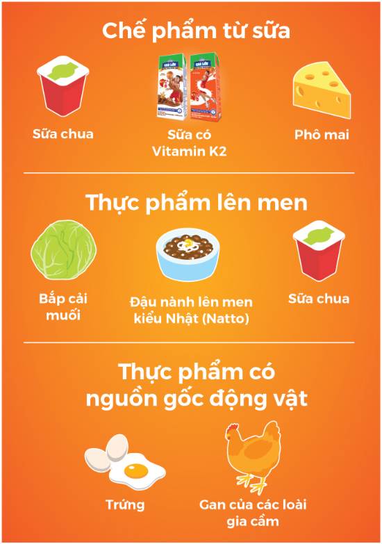 Bổ sung Vitamin K2 từ các chế phẩm từ sữa