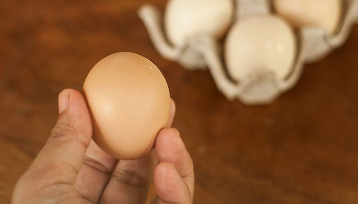 Soi trứng giúp chọn được trứng ngon