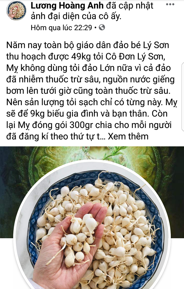 3157anh-tung-tin-that-thiet-ve-toi-ly-son-2-15809151464791862157681