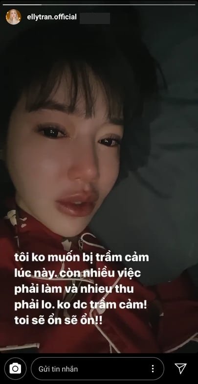 elly-tran-noi-ho-de-lo-thong-tin-ly-hon-chong-ngoai-quoc-fe1b12