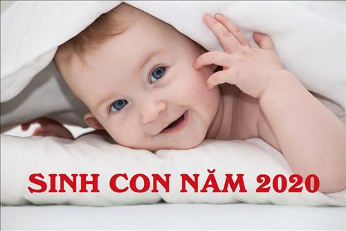 sinh-con-nam-2020-nhung-dieu-can-biet
