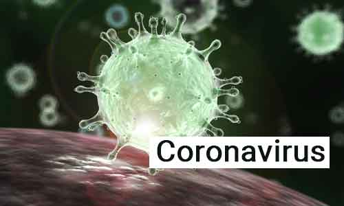 Mất khứu giác co thể bạn đang nhiễm virus corona