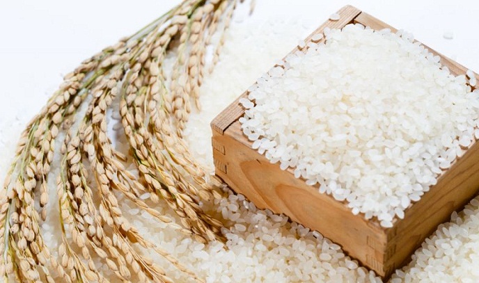Cách chọn gạo ngon
