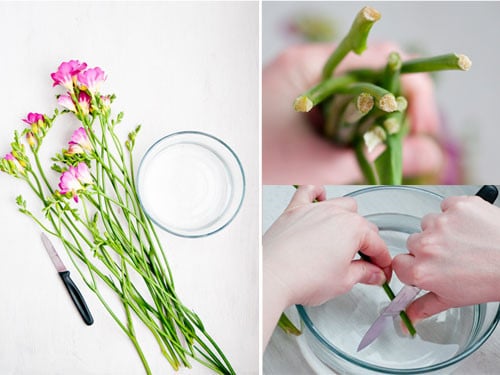 Cách giữ hoa tươi lâu