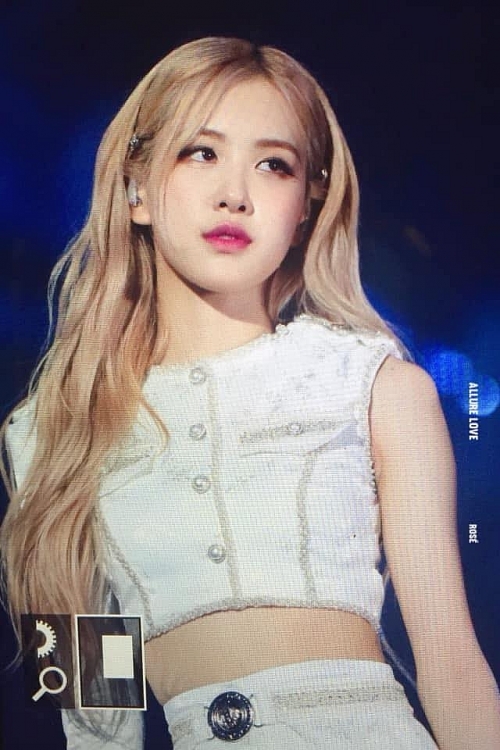 Rose1