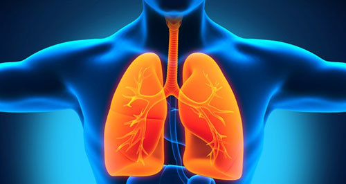 Bệnh tràn khí màng phổi ảnh hưởng nghiêm trọng tới hệ hô hấp