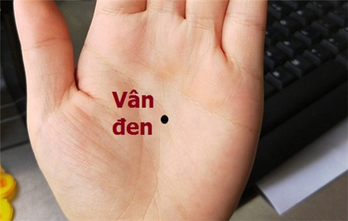 van-den