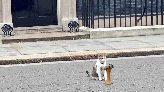 Mới đây, chú mèo Larry ở văn phòng Thủ tướng Anh đã 