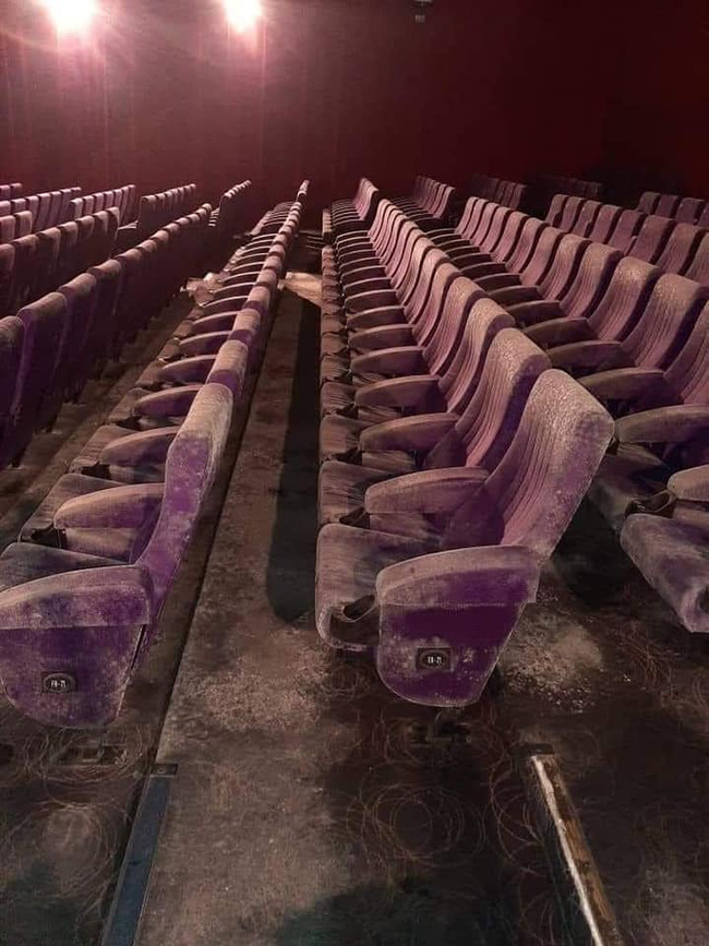 Các hàng ghế của rạp chiếu phim trở thành môi trường lý tưởng cho nấm mốc phát triển.