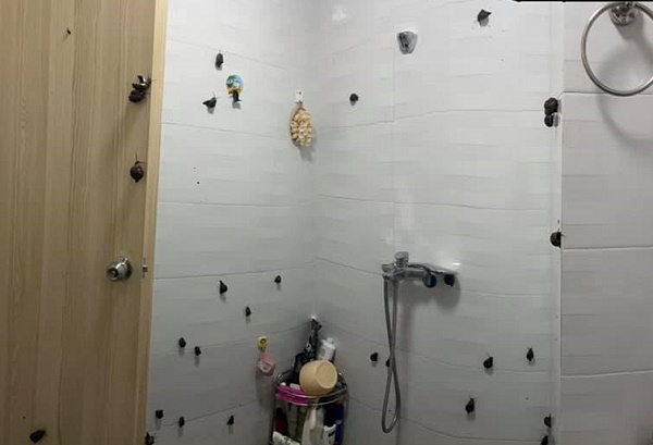 Những con ốc bò trên tường nhà tắm.