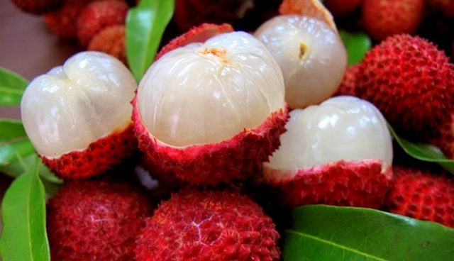 Cách chọn vải ngon hàng cực phẩm