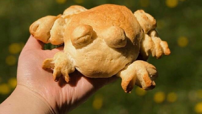 Những chiếc bánh mỳ ếch biến dạng. Những chú ếch không có mũi