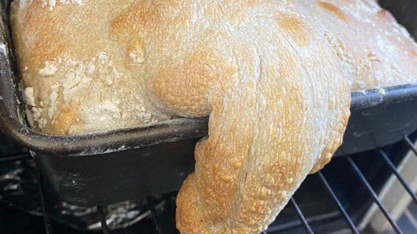  Elizabeth Walter chia sẻ bức ảnh thành phẩm sau khi thử nghiệm công thức làm bánh mì lên Instagram với chú thích: 